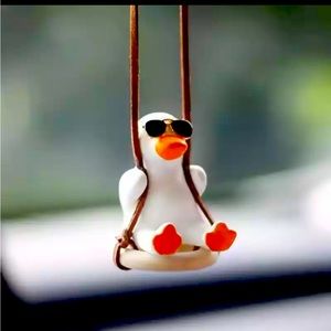 Swing accessory for car